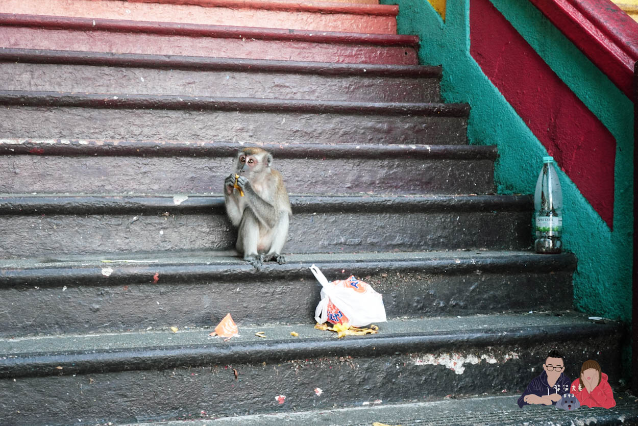 馬來西亞雲頂樂園 (103)
