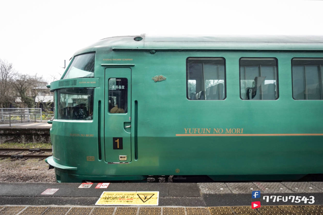 由布院之森 (82)