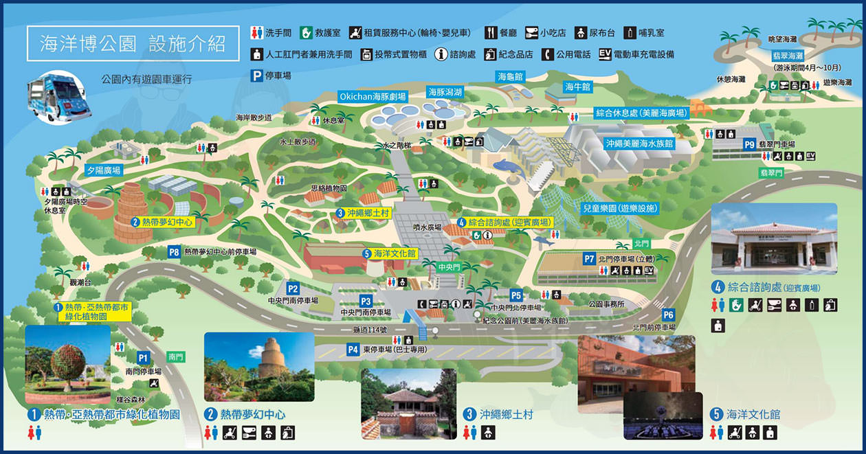 沖繩美麗海水族館地圖