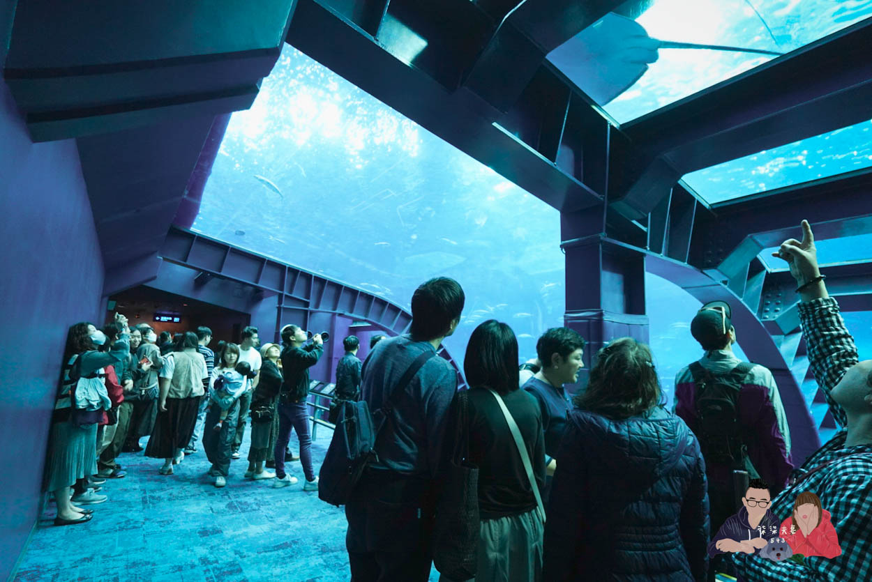 沖繩美麗海水族館 (137)