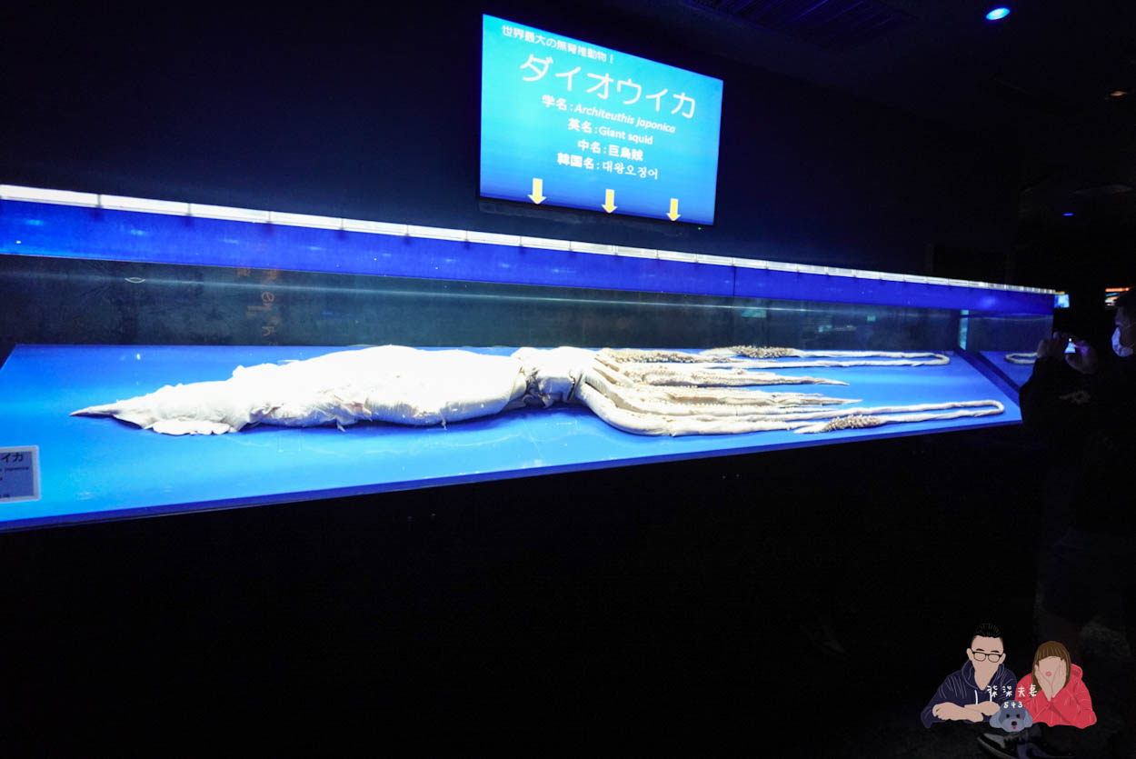 沖繩美麗海水族館 (147)