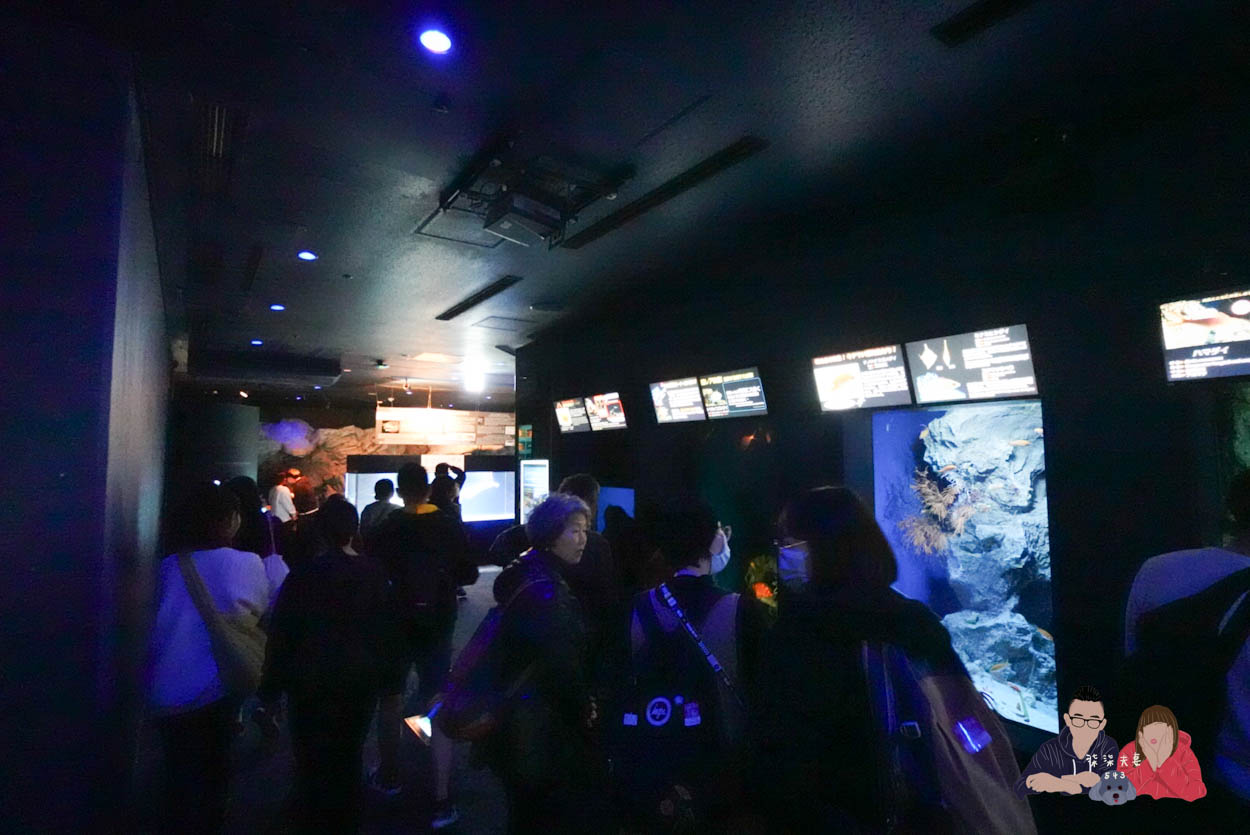 沖繩美麗海水族館 (148)