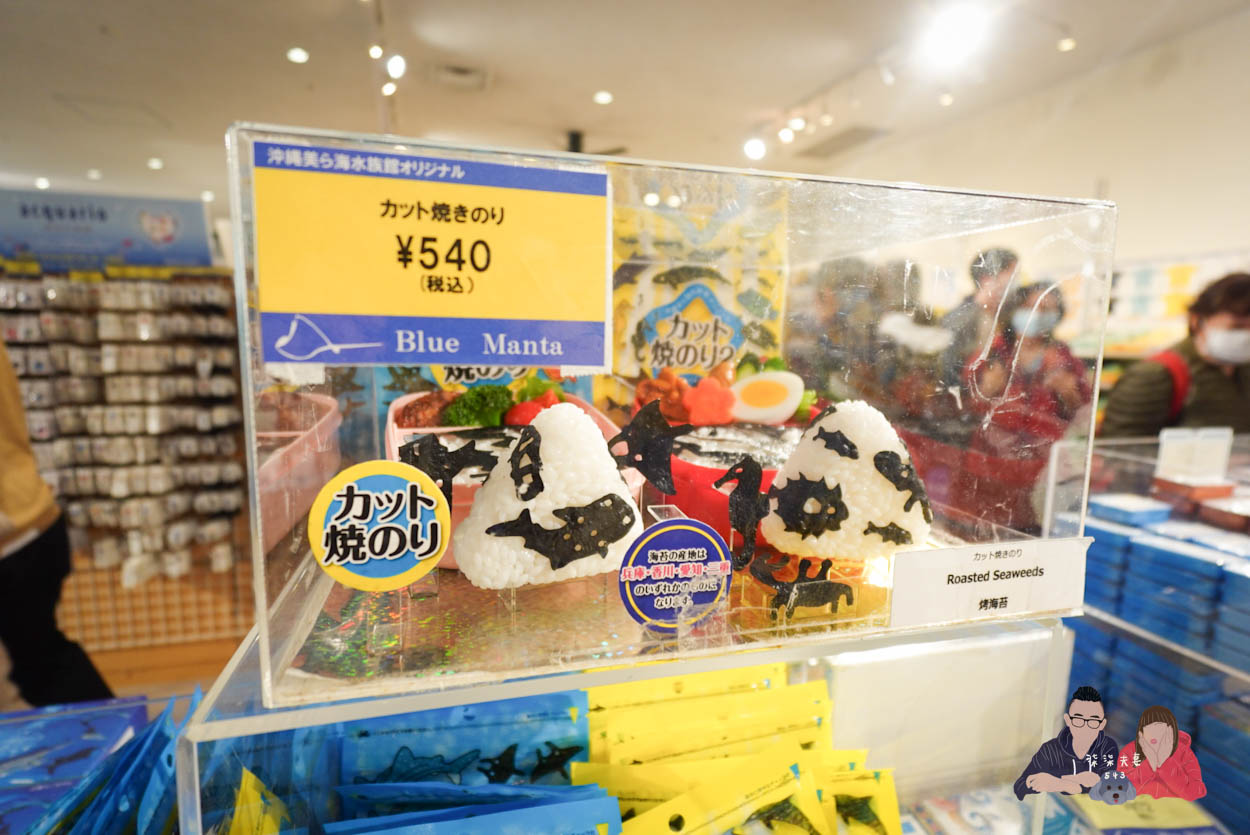 沖繩美麗海水族館 (171)