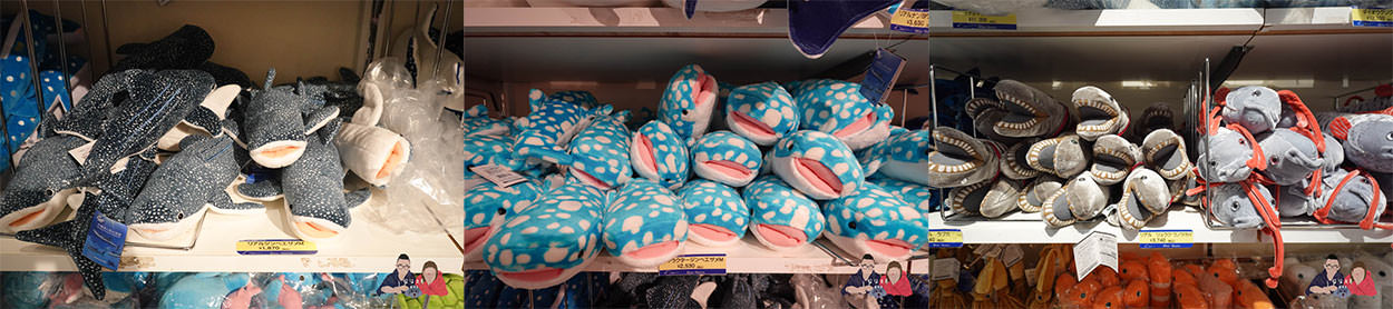 沖繩美麗海水族館-(200)