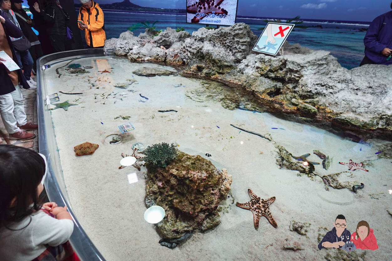 沖繩美麗海水族館 (26)