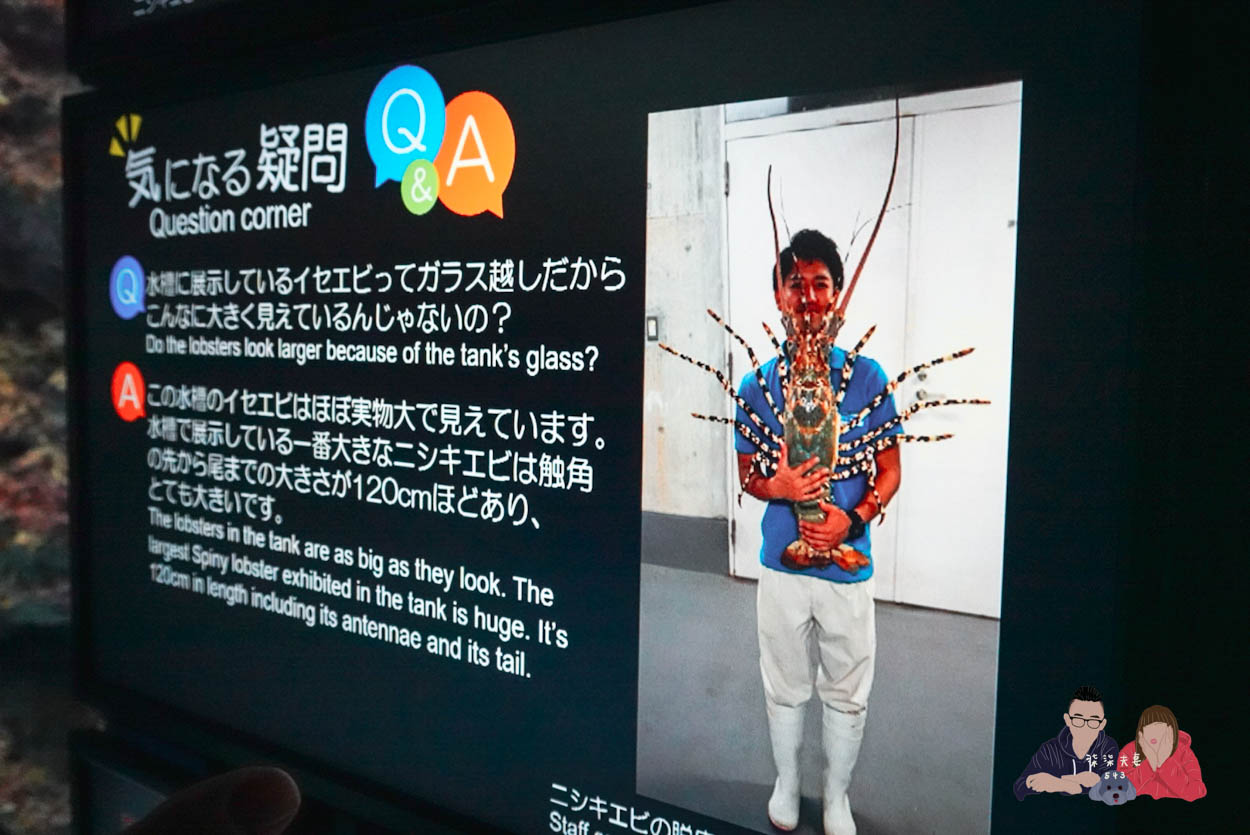 沖繩美麗海水族館 (50)