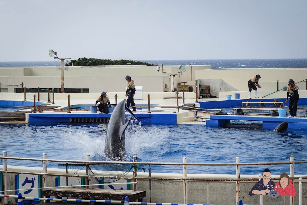 沖繩美麗海水族館 (85)