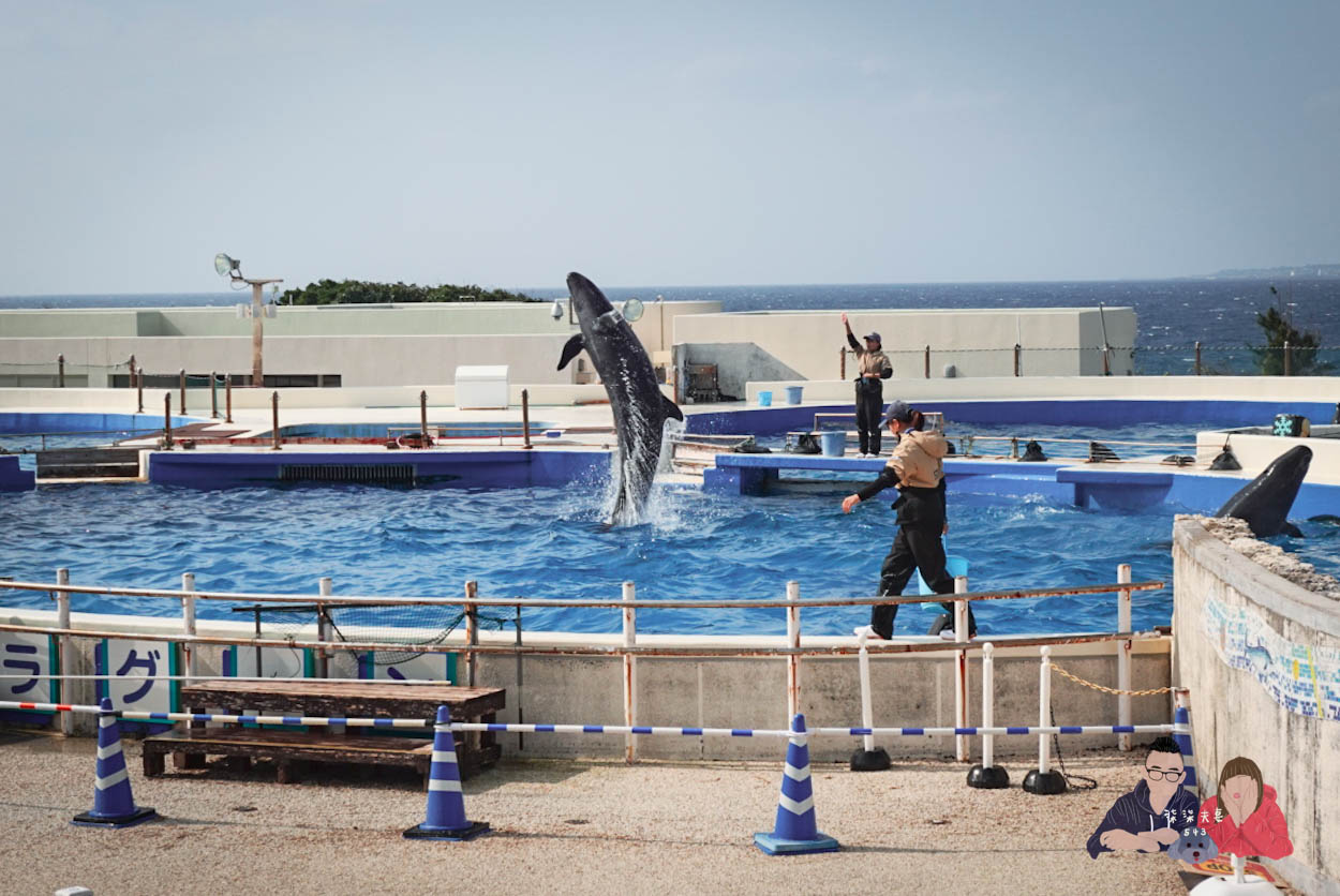 沖繩美麗海水族館 (94)