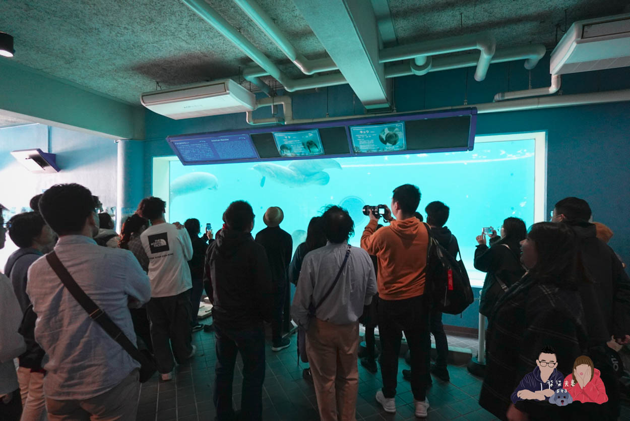 沖繩美麗海水族館 (107)