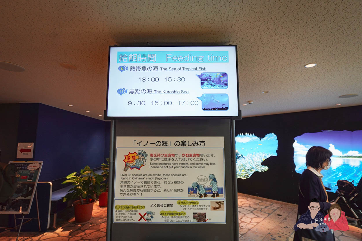 沖繩美麗海水族館 (29)