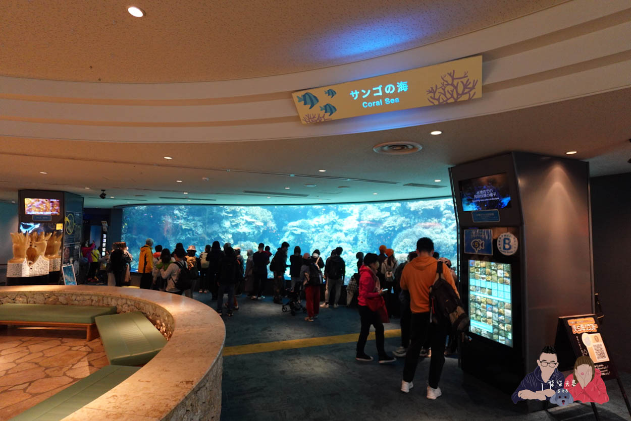 沖繩美麗海水族館 (30)