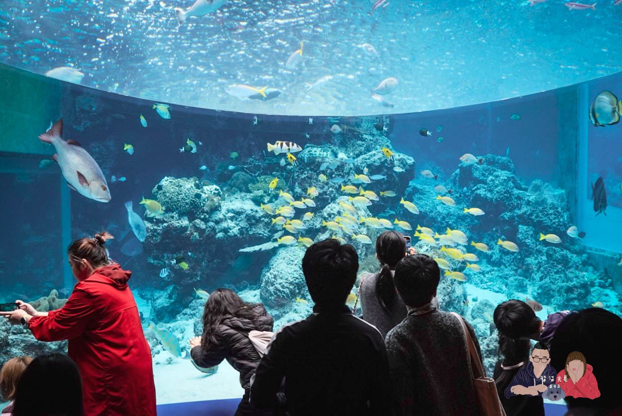 沖繩美麗海水族館 (39)