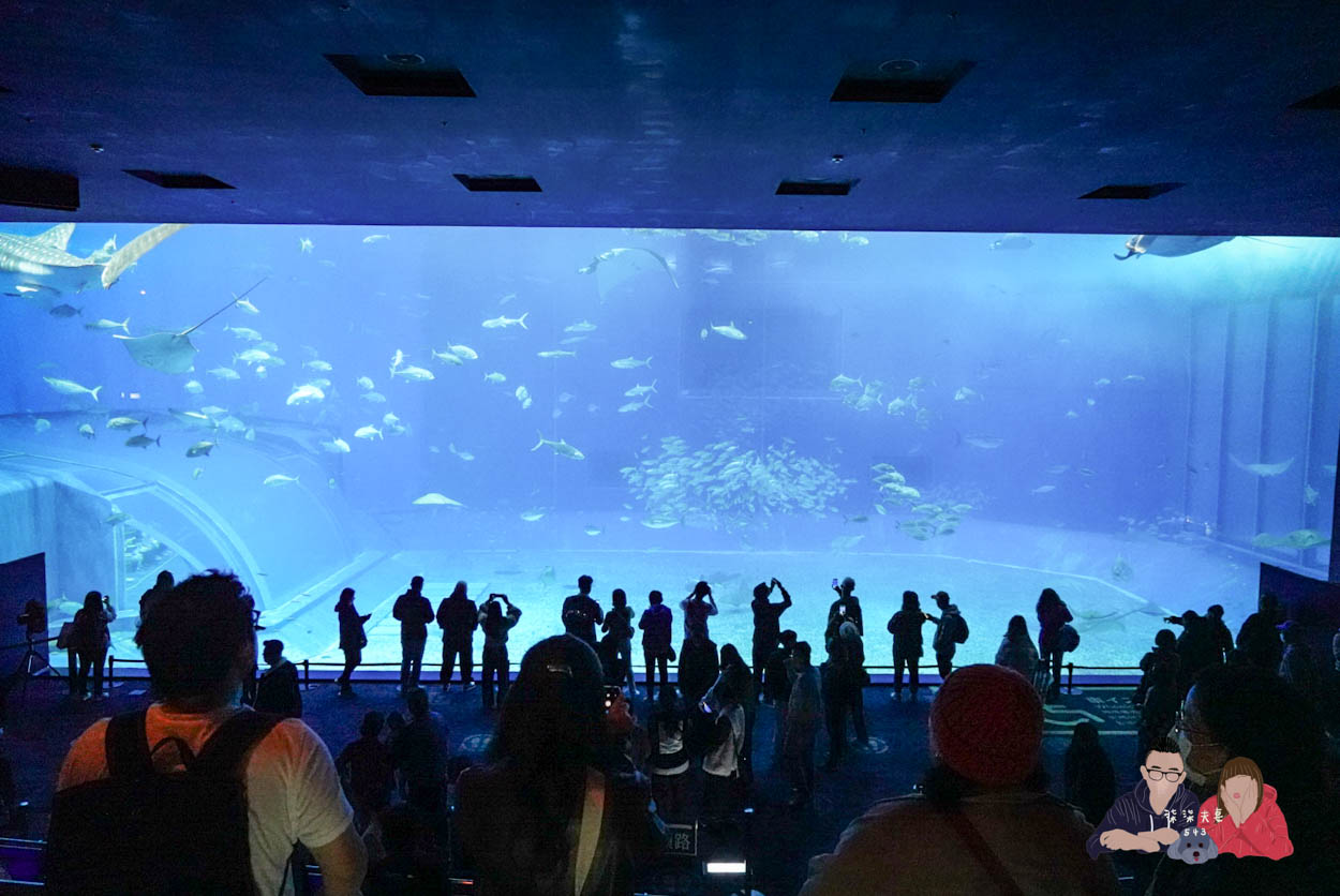 沖繩美麗海水族館 (68)