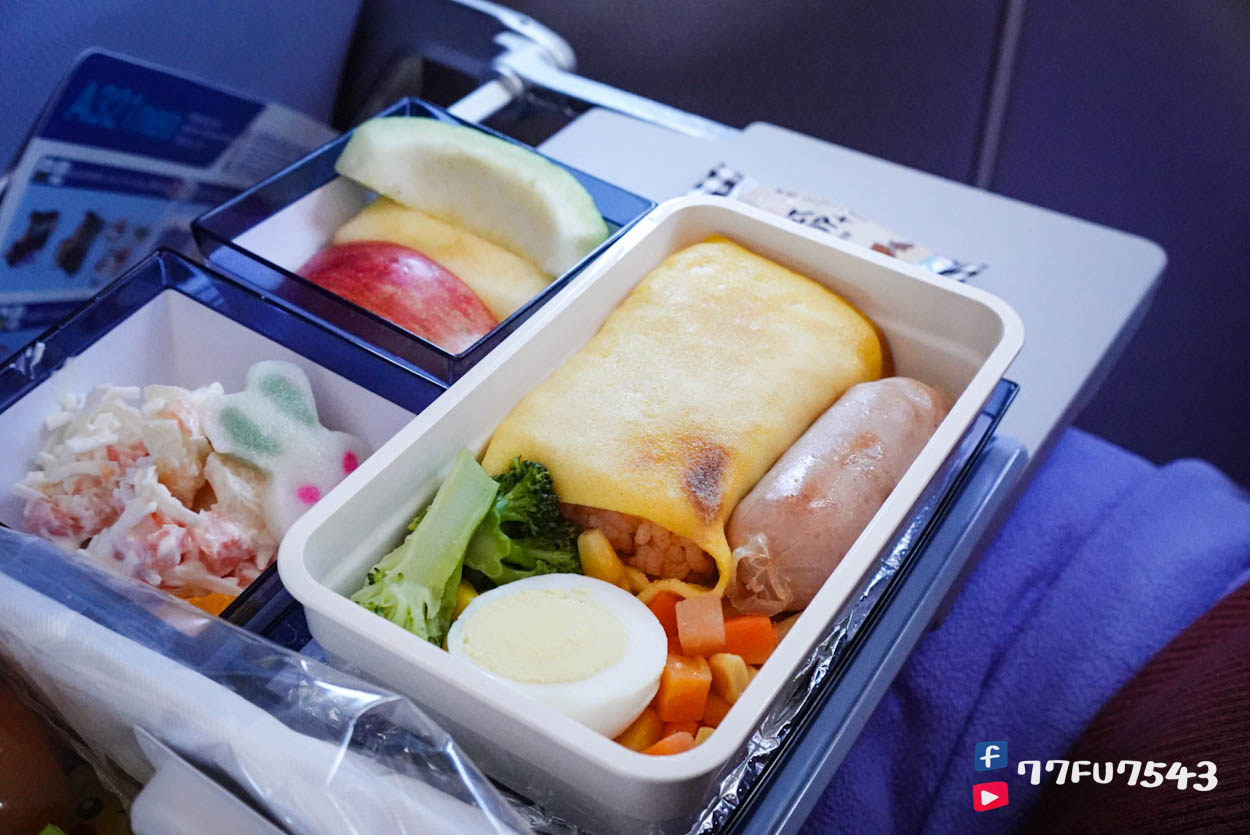 中華航空CI2194桃園飛熊本 (68)