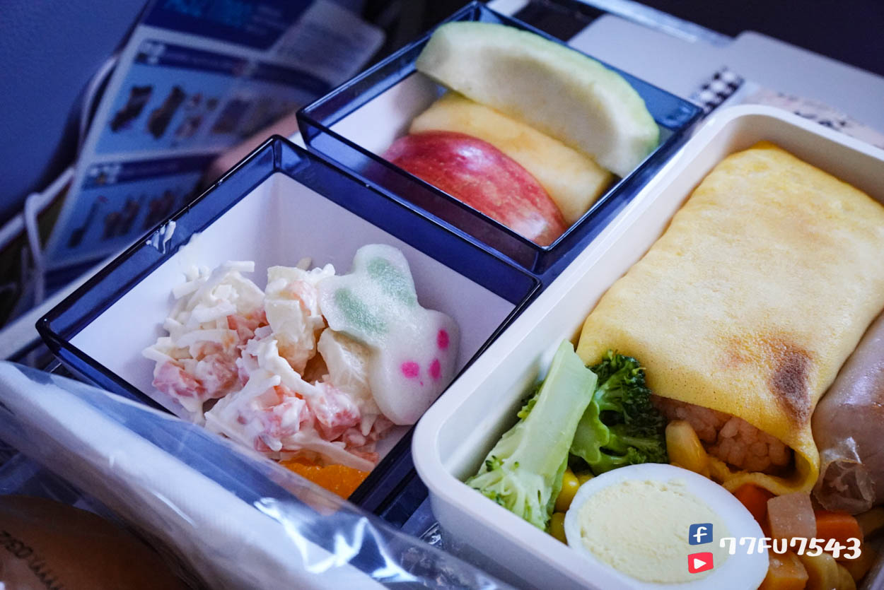 中華航空CI2194桃園飛熊本 (70)