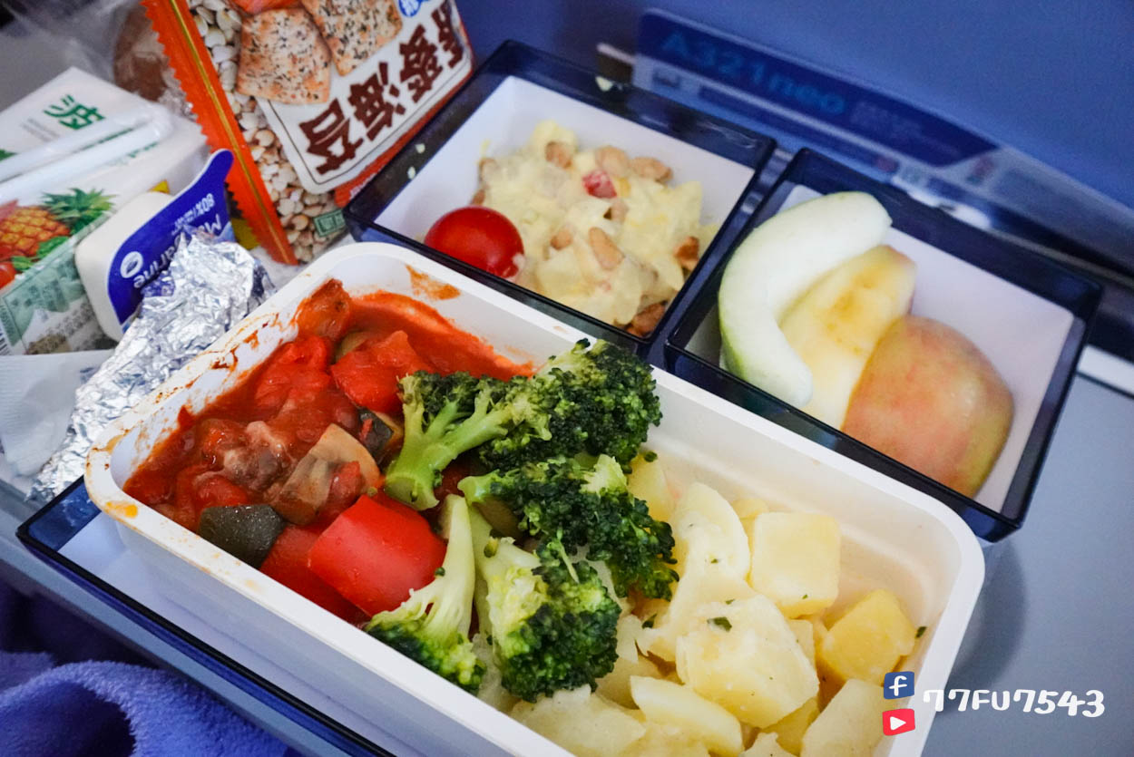 中華航空CI2194桃園飛熊本 (74)