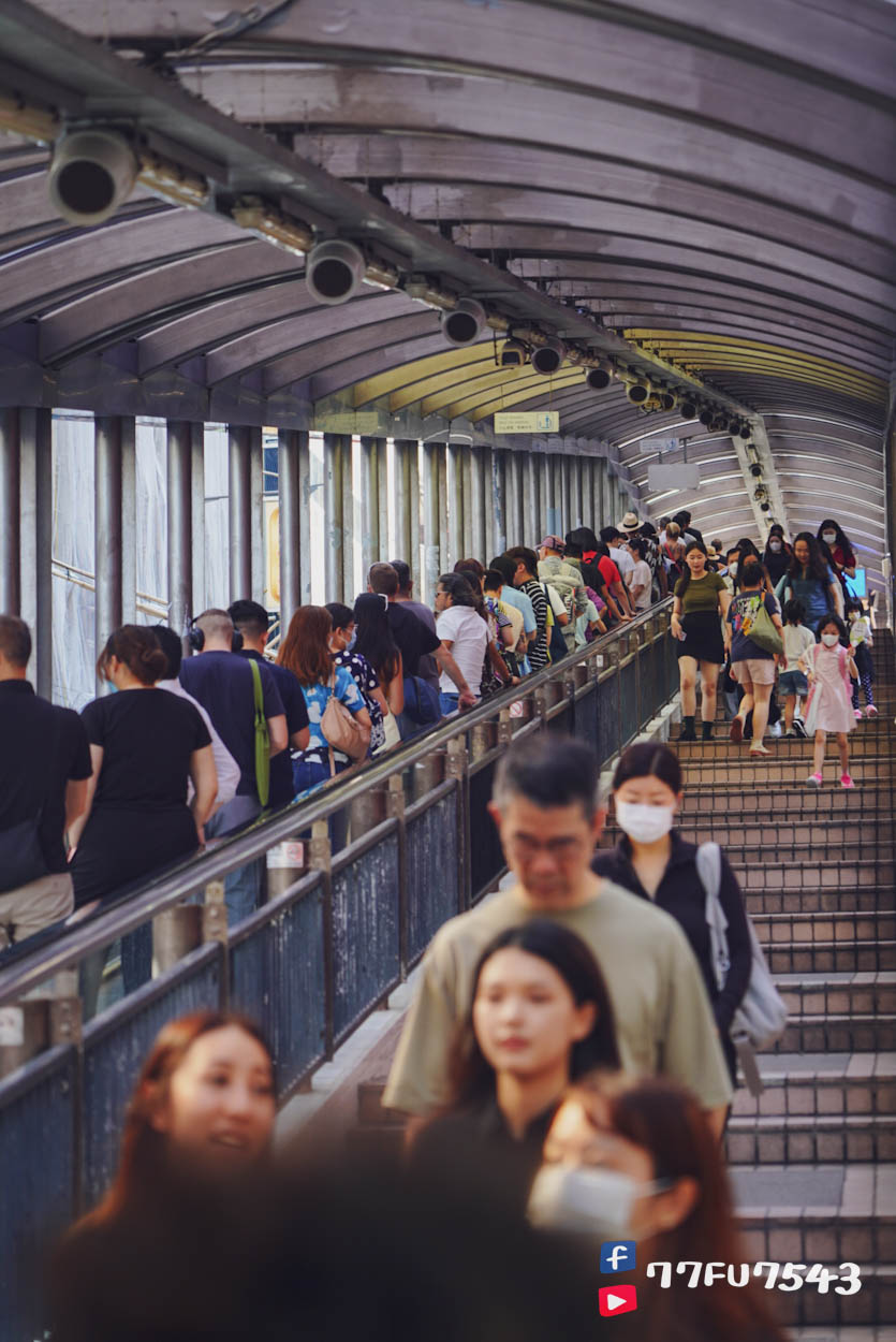 中環半山手扶梯 (6)