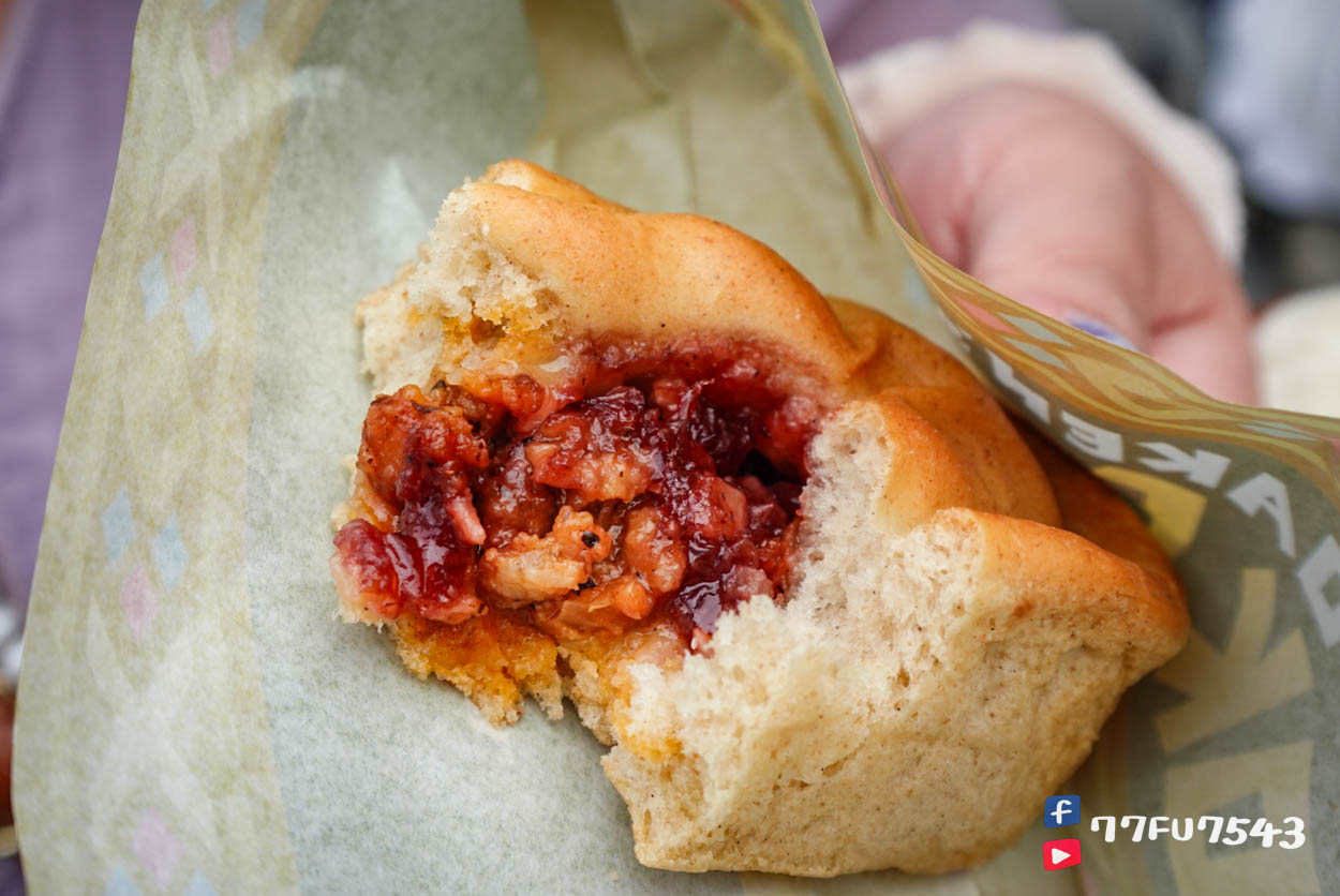 東京迪士尼海洋夢幻泉鄉 (146)