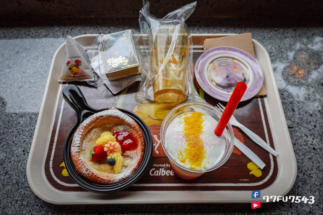 東京迪士尼海洋夢幻泉鄉 (291)