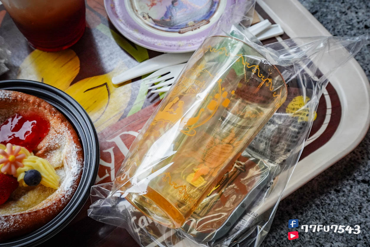 東京迪士尼海洋夢幻泉鄉 (295)