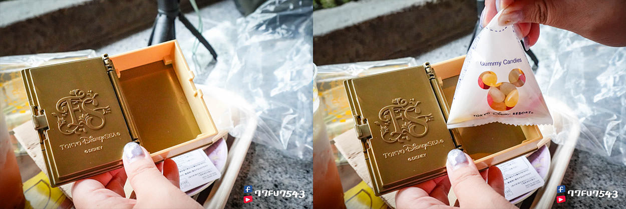 東京迪士尼海洋夢幻泉鄉-(301)