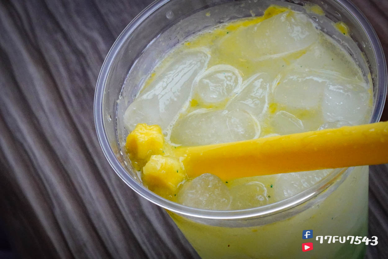 東京迪士尼海洋夢幻泉鄉 (324)