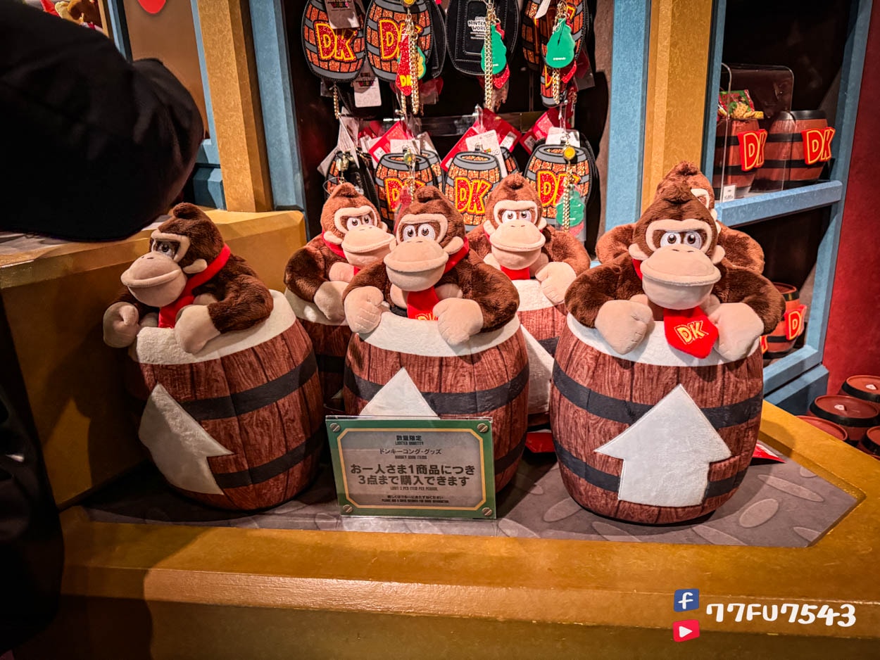 日本環球影城咚奇剛國度 (123)