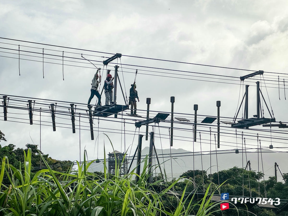 JUNGLIA叢林樂園新手攻略》14項必看行前注意事項，實際遊園體驗心得及園內餐食分享！