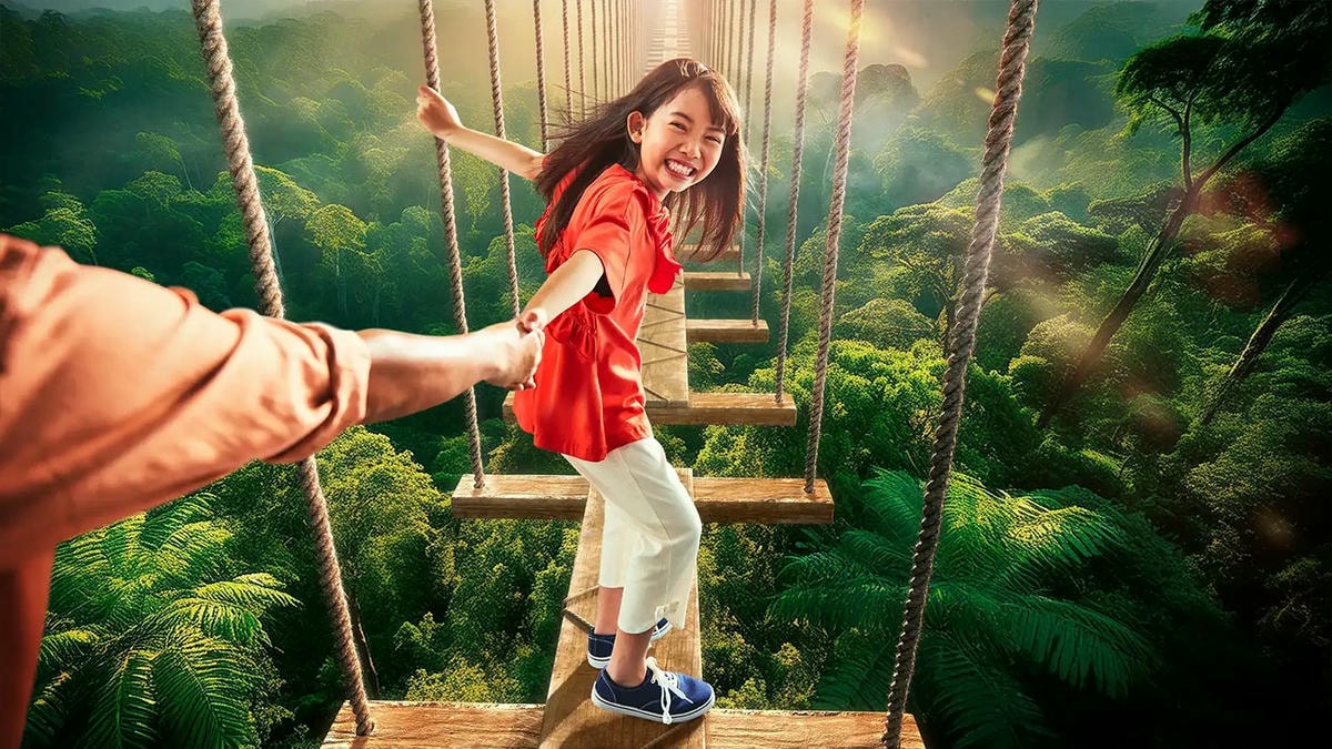 TREE-TOP-TREKKING