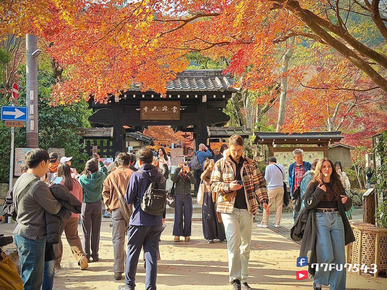 2025常寂光寺楓葉