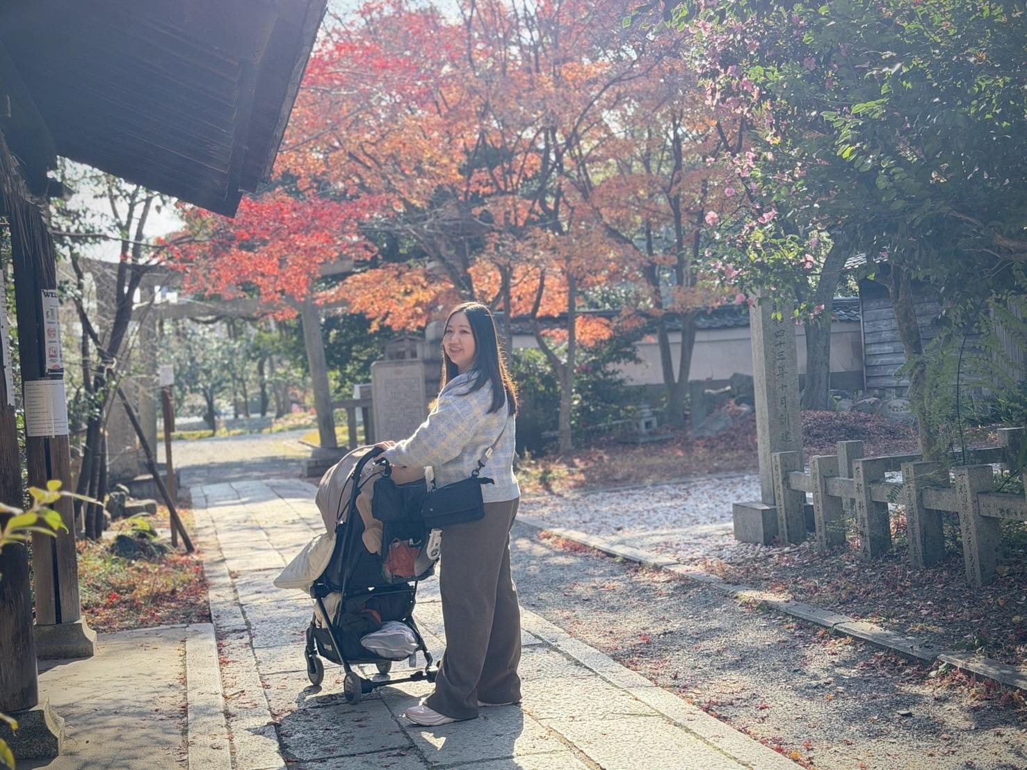 帶嬰兒出國