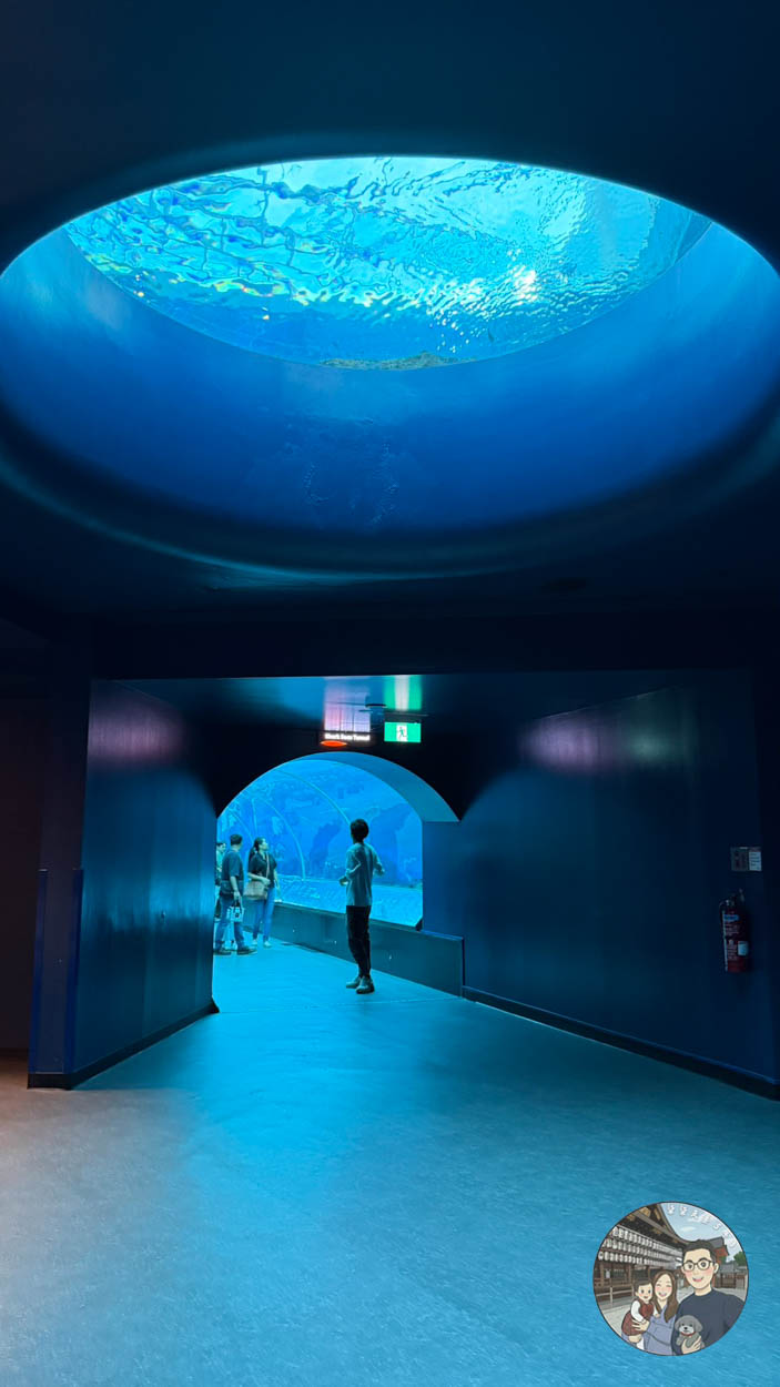 【新加坡海洋生態館攻略】門票、交通、必看 6 大主題展區亮點完整指南! - 第24張圖 新加坡海洋生態館