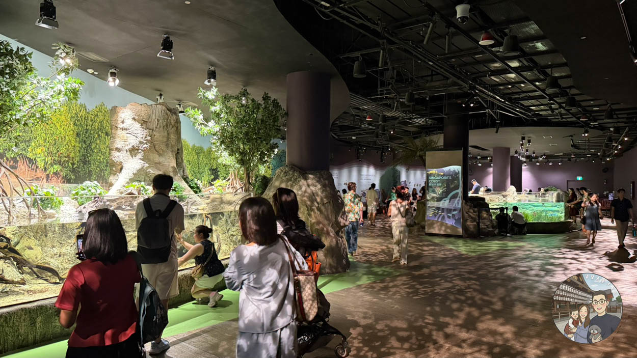 【新加坡海洋生態館攻略】門票、交通、必看 6 大主題展區亮點完整指南! - 第6張圖 新加坡海洋館海洋奇遇