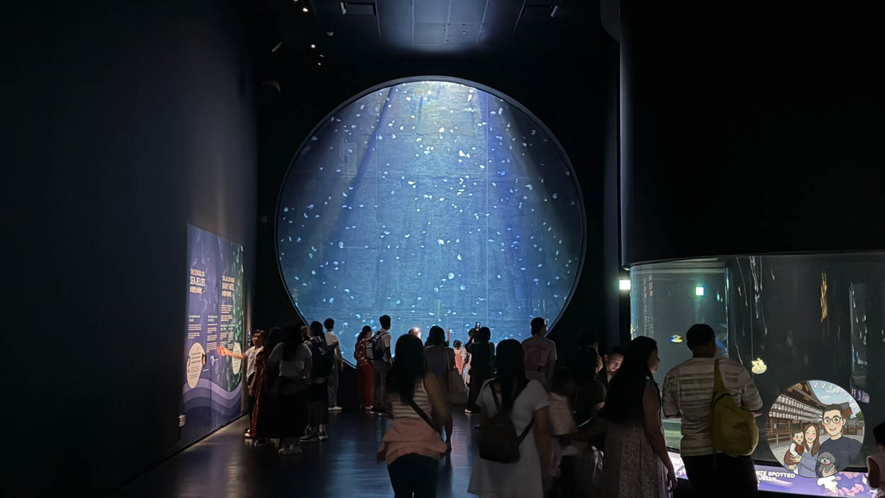 【新加坡海洋生態館攻略】門票、交通、必看 6 大主題展區亮點完整指南! - 第5張圖 新加坡海洋館水母牆