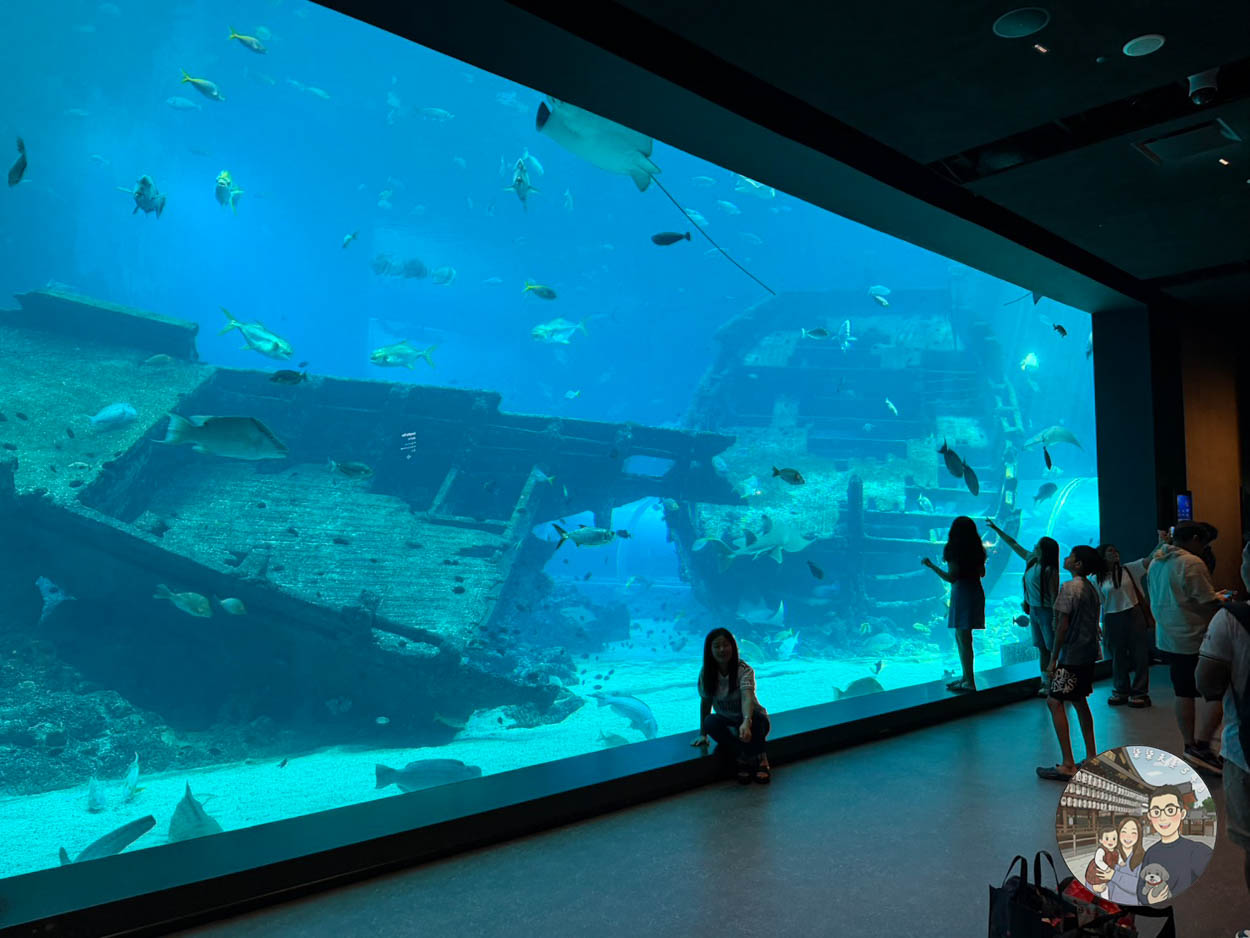 【新加坡海洋生態館攻略】門票、交通、必看 6 大主題展區亮點完整指南! - 第1張圖 新加坡海洋館深海奇跡