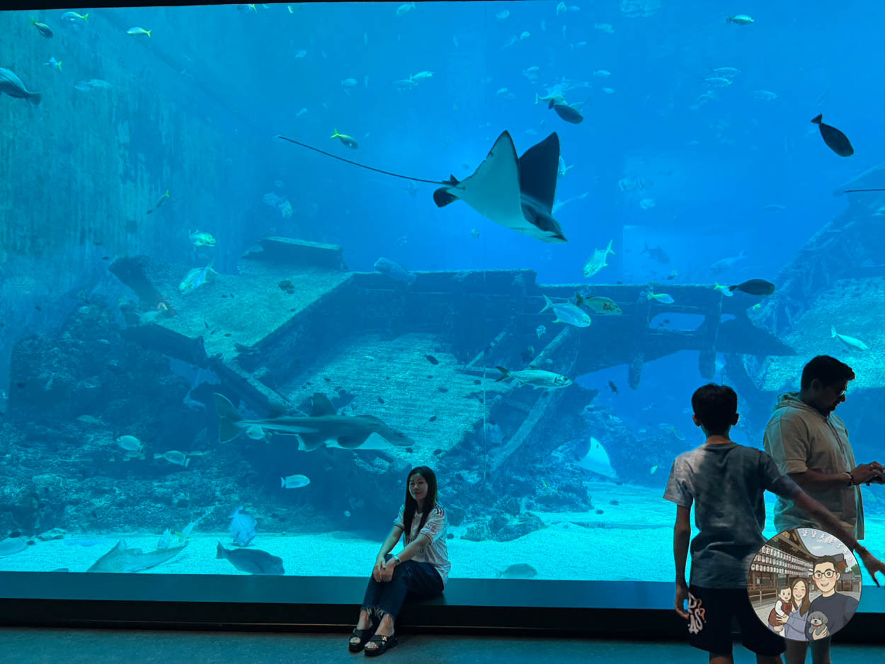 【新加坡海洋生態館攻略】門票、交通、必看 6 大主題展區亮點完整指南! - 第15張圖 新加坡海洋館深海奇跡的沉船