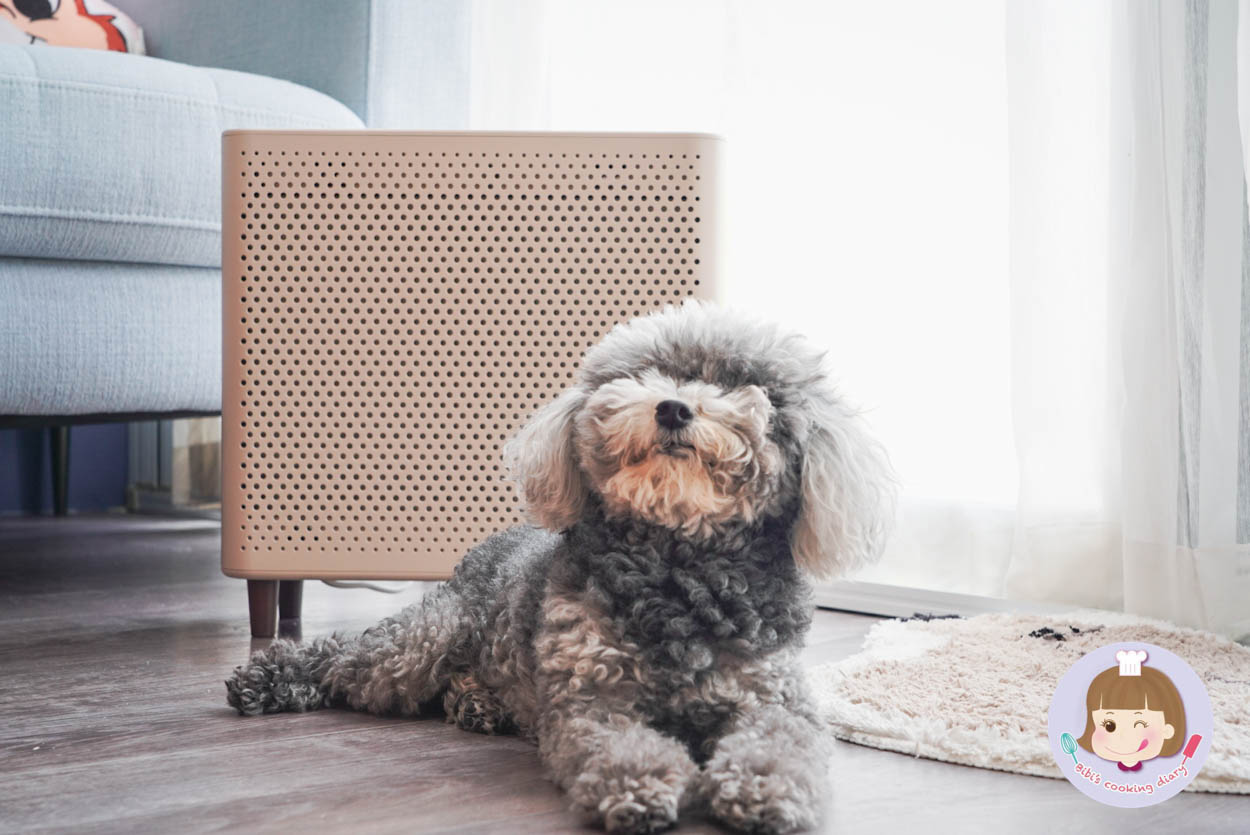 BRUNO空氣清淨機 BOE081 小型落地式空氣清淨機 (柔紗灰)-078