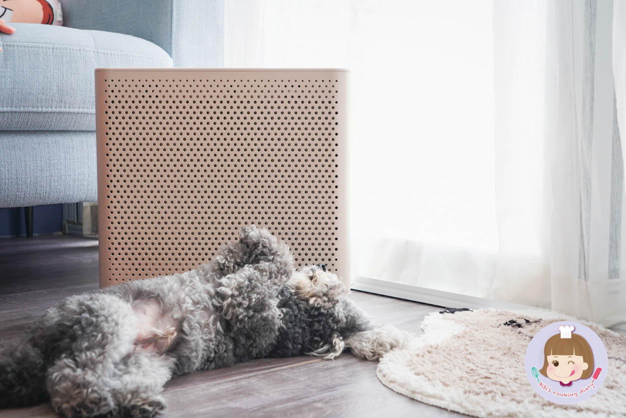 BRUNO空氣清淨機 BOE081 小型落地式空氣清淨機 (柔紗灰)-082