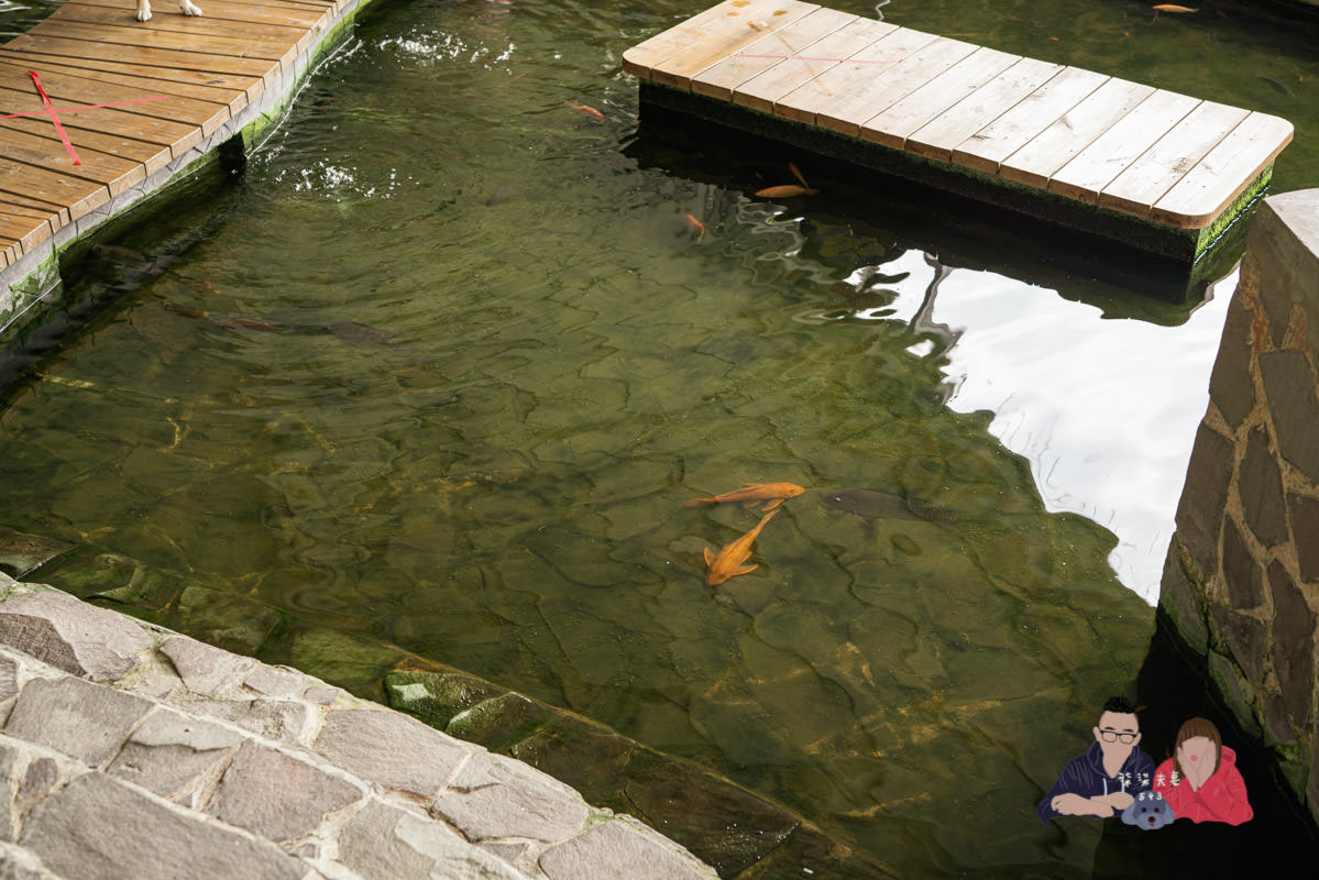台中寵物景點》HIONE啵比星球｜寵物親子友善樂園，居然敢號稱寵物版的迪士尼？認真？