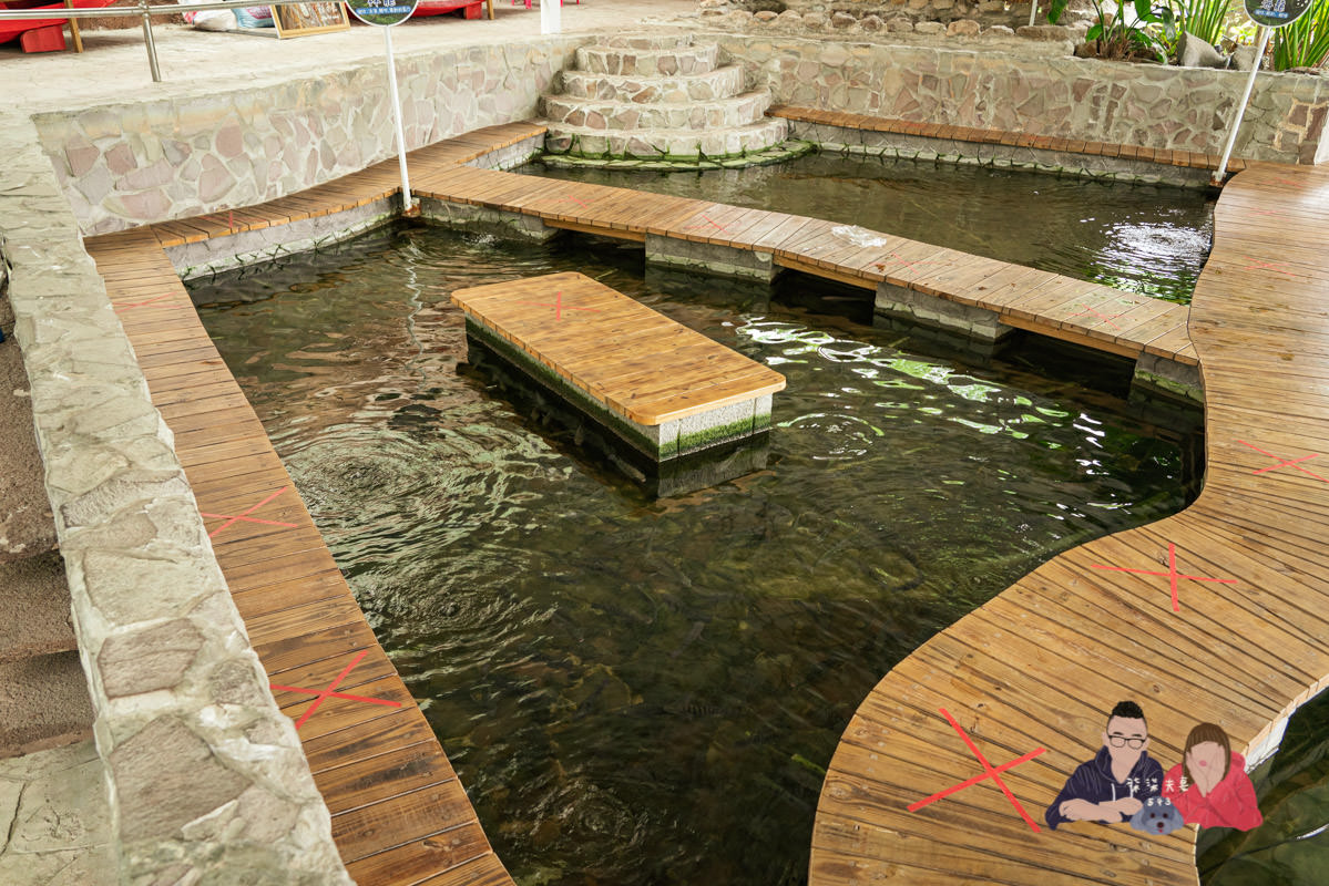 台中寵物景點》HIONE啵比星球｜寵物親子友善樂園，居然敢號稱寵物版的迪士尼？認真？