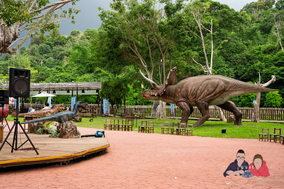 台中寵物景點》HIONE啵比星球｜寵物親子友善樂園，居然敢號稱寵物版的迪士尼？認真？