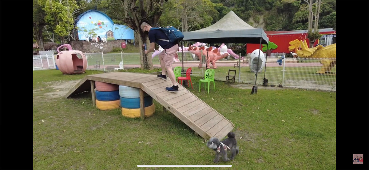 台中寵物景點》HIONE啵比星球｜寵物親子友善樂園，居然敢號稱寵物版的迪士尼？認真？