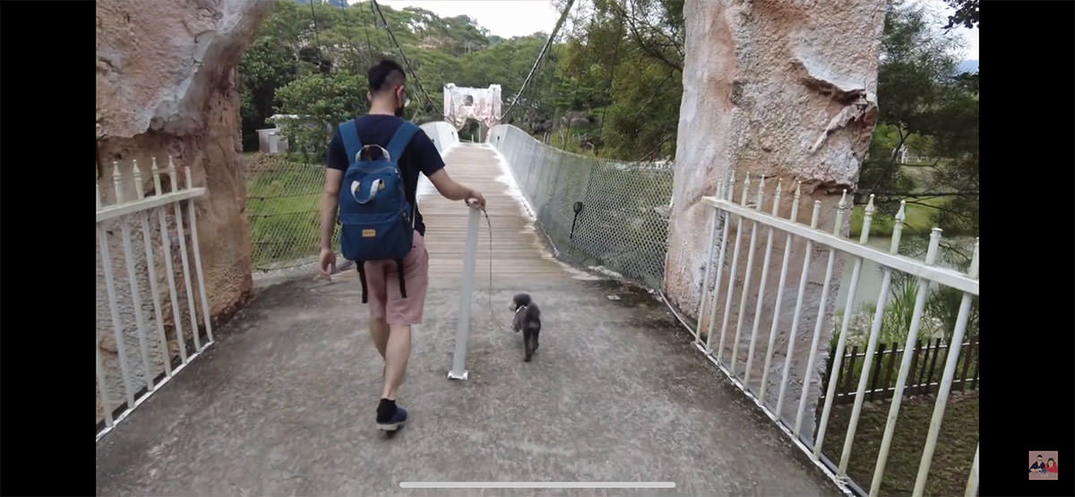 台中寵物景點》HIONE啵比星球｜寵物親子友善樂園，居然敢號稱寵物版的迪士尼？認真？