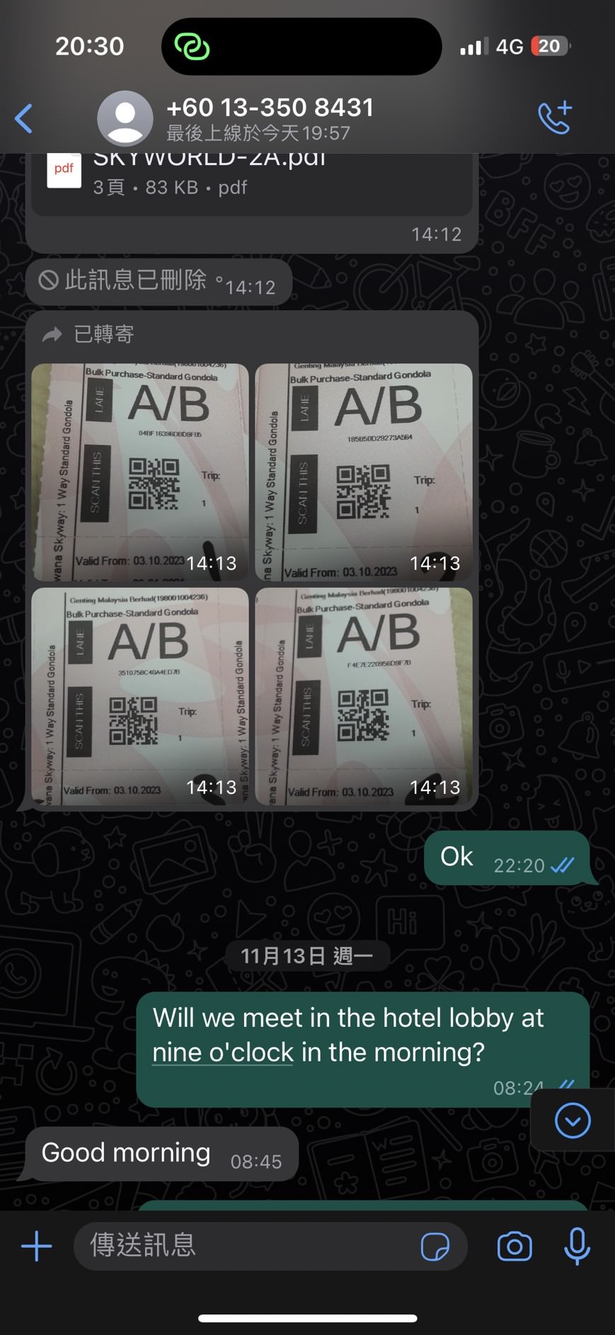 Hibiscus Travel & Tours一票二賣事件纜車篇 (9)