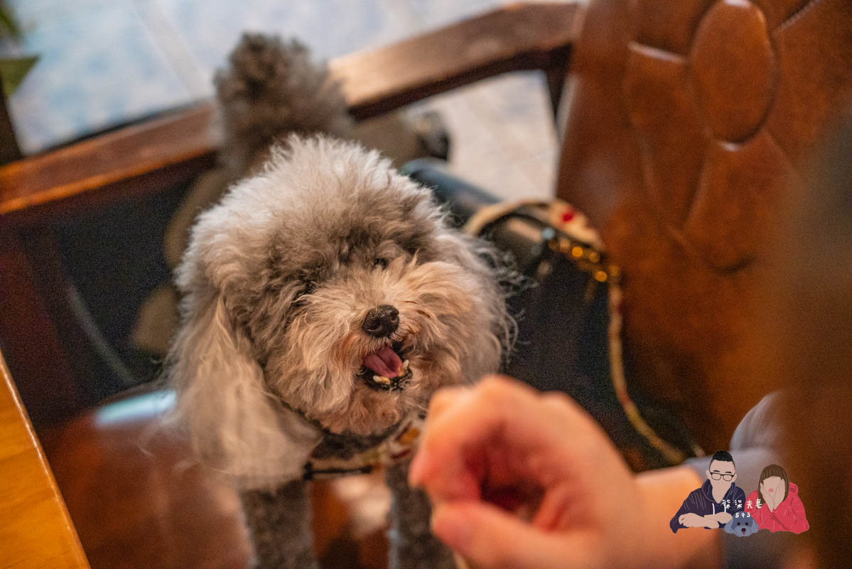 舒曼6號餐館南京店》台北小巨蛋早午餐推薦,爆好吃的德國豬腳絕對要點,千元內德式豬腳之王! - 第7張圖 舒曼6號餐館南京店》台北小巨蛋早午餐推薦,爆好吃的德國豬腳絕對要點,千元內德式豬腳之王!