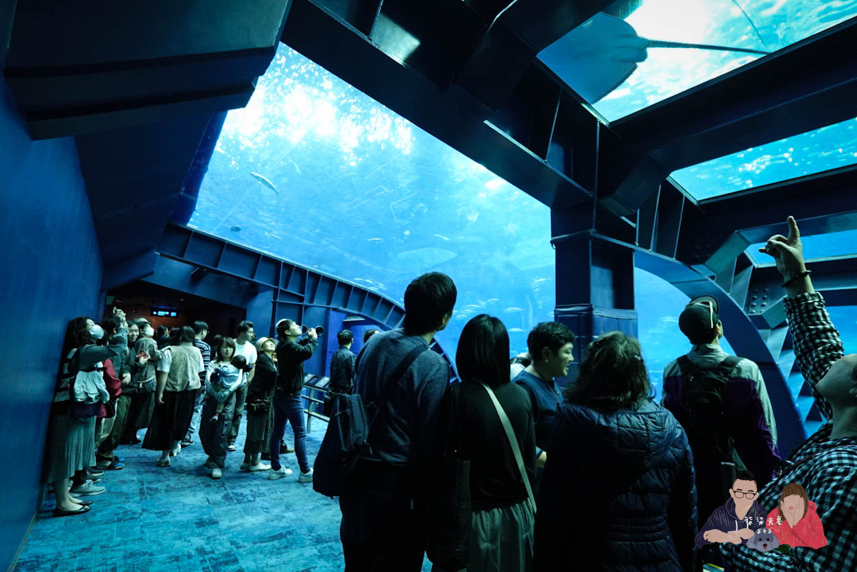 kkday沖繩北部一日遊 (34)