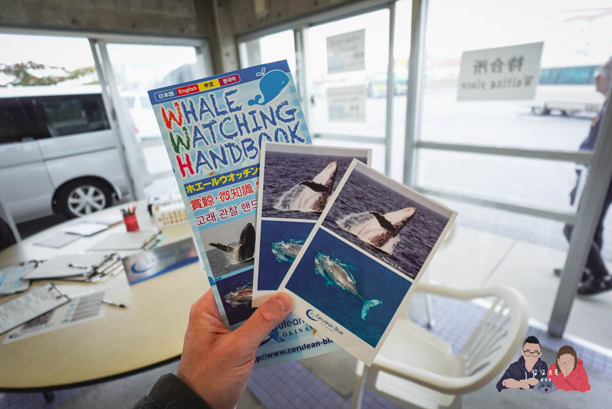 沖繩賞鯨KKday (5)